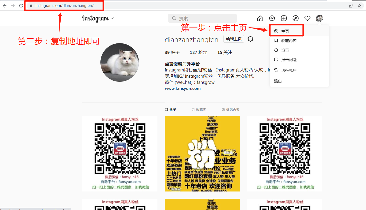 1、如何获取Instagram主页链接: