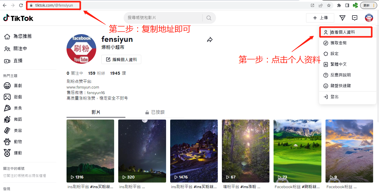 1、如何获取Tiktok 主页链接: