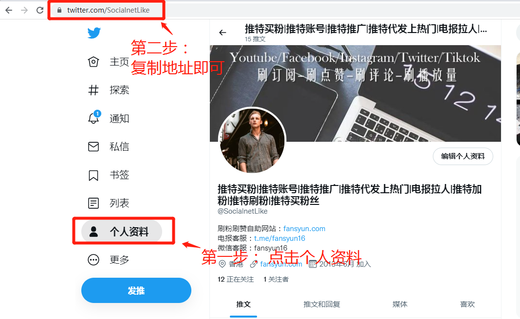 1、如何获取Twitter主页链接: