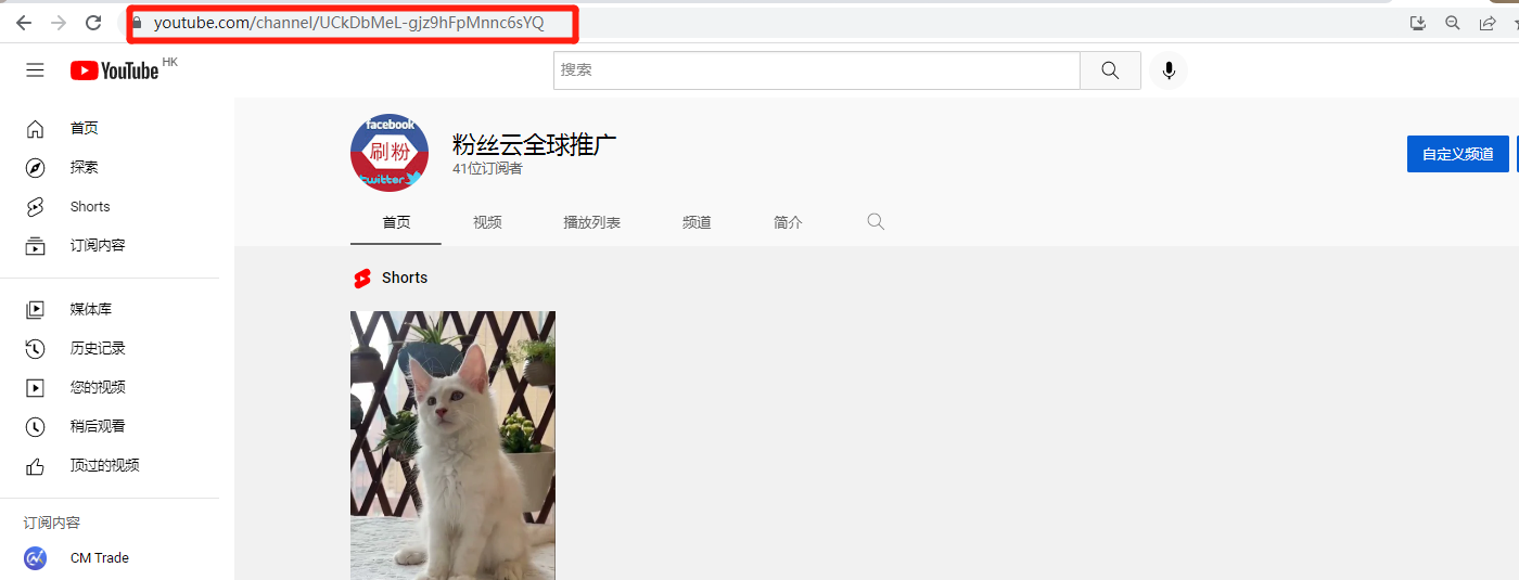 1、如何获取Youtube频道链接: